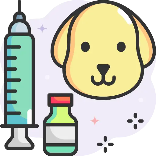 Healthy Chihuahua puppies